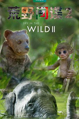 荒野间谍第二季封面图