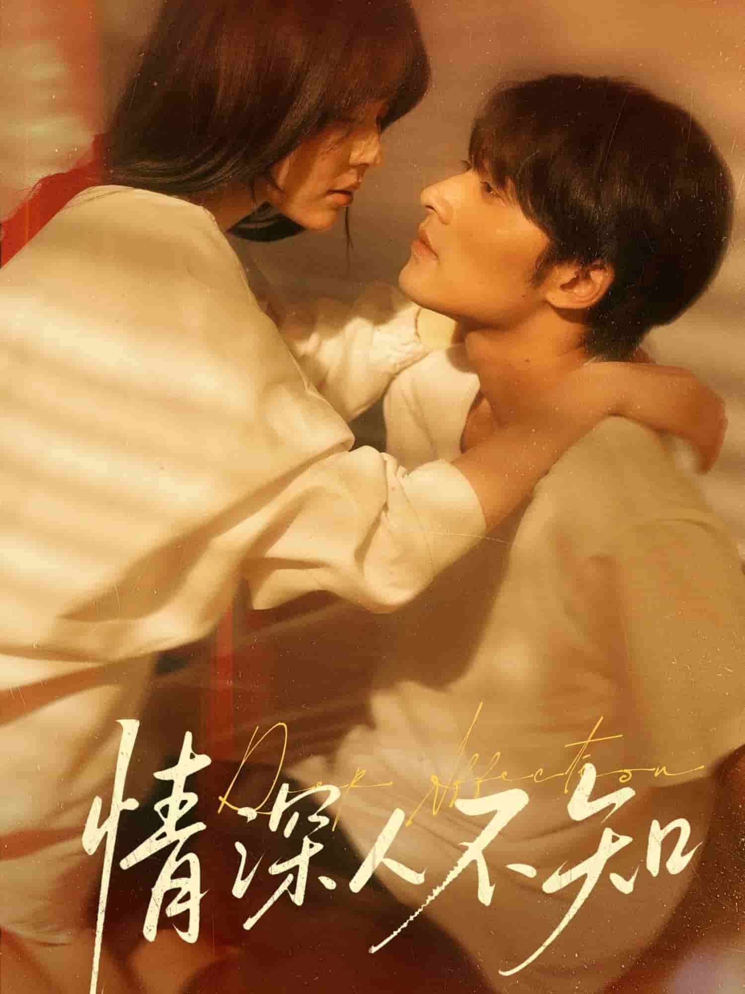 情深人不知封面图