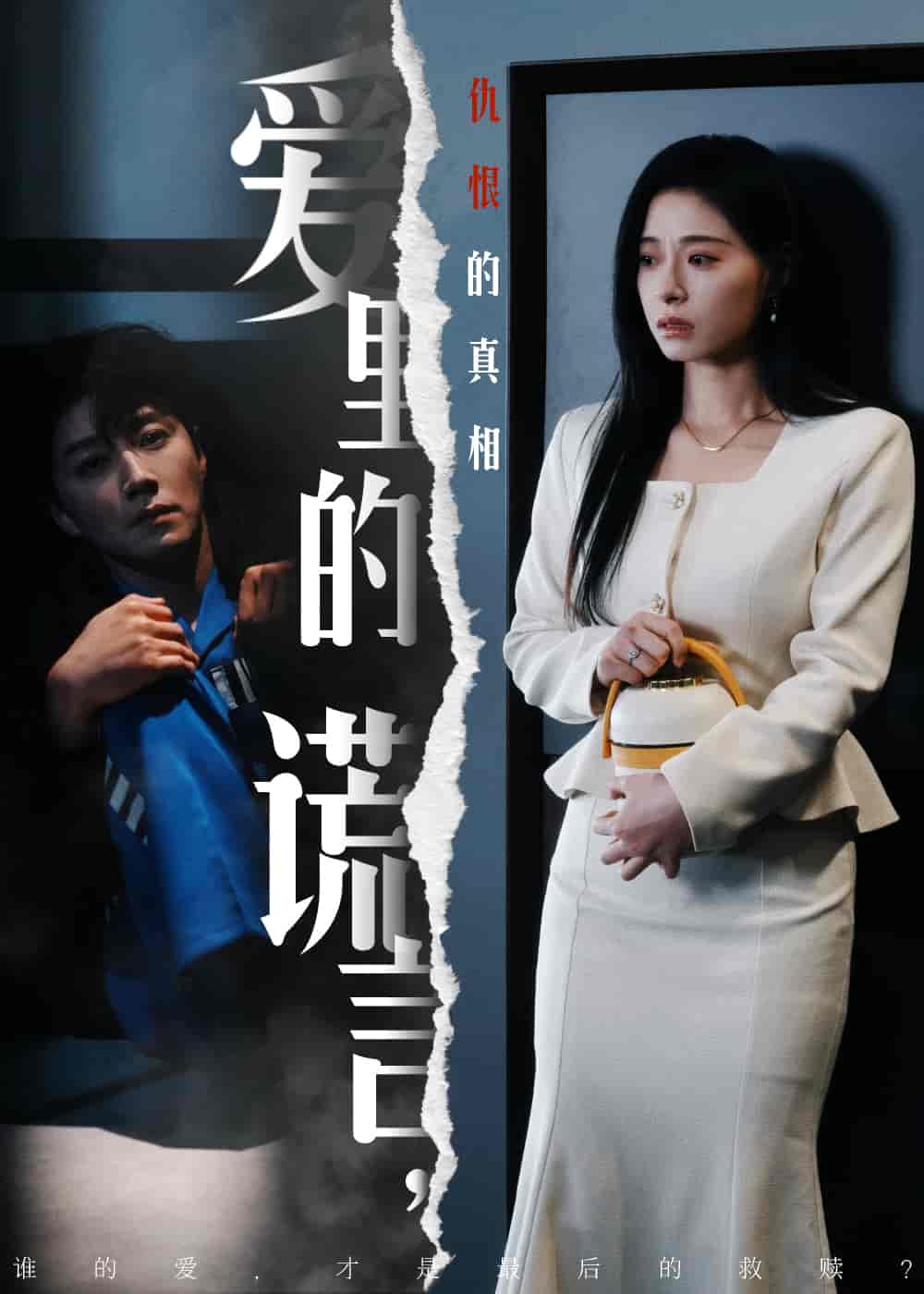 爱里的谎言，仇恨的真相封面图