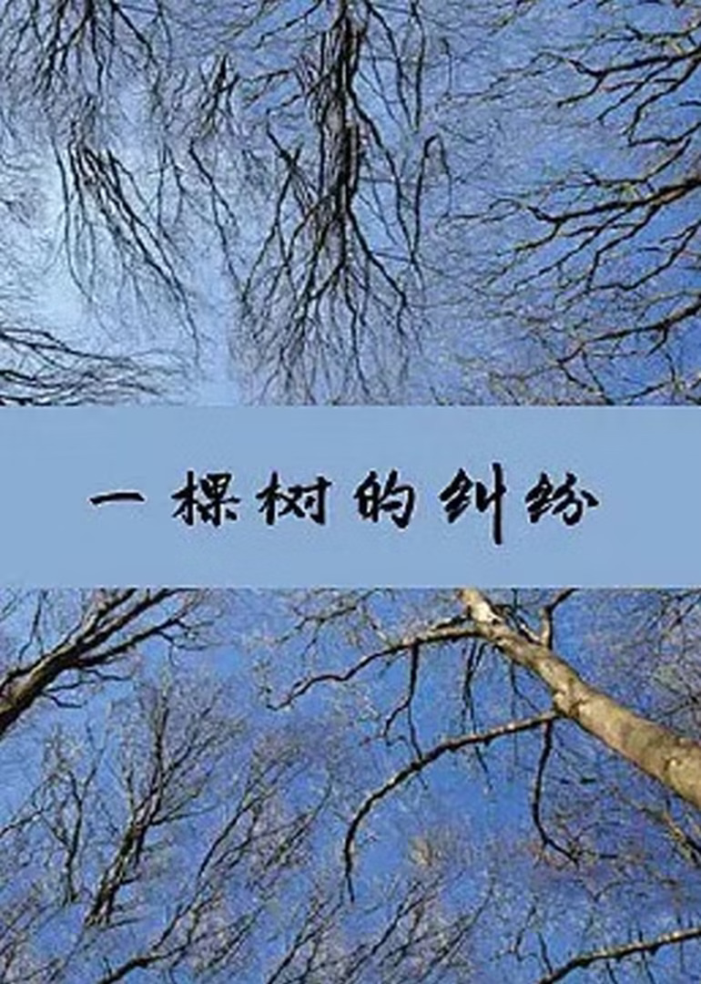 一棵树的纠纷封面图