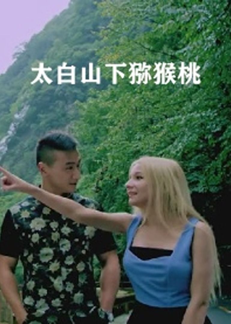 太白山下猕猴桃封面图