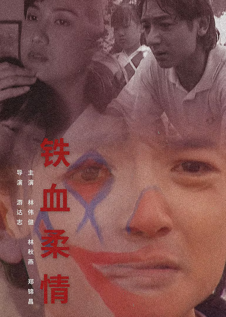 铁血柔情1995封面图