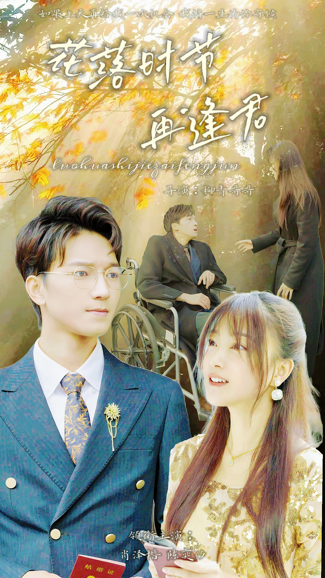 落花时节再逢君封面图