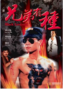 兄弟有种封面图