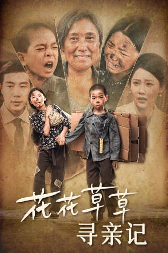 花花草草寻亲记封面图