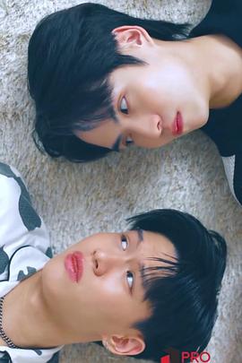 交换爱情封面图