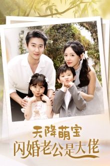 天降萌宝闪婚老公是大佬封面图