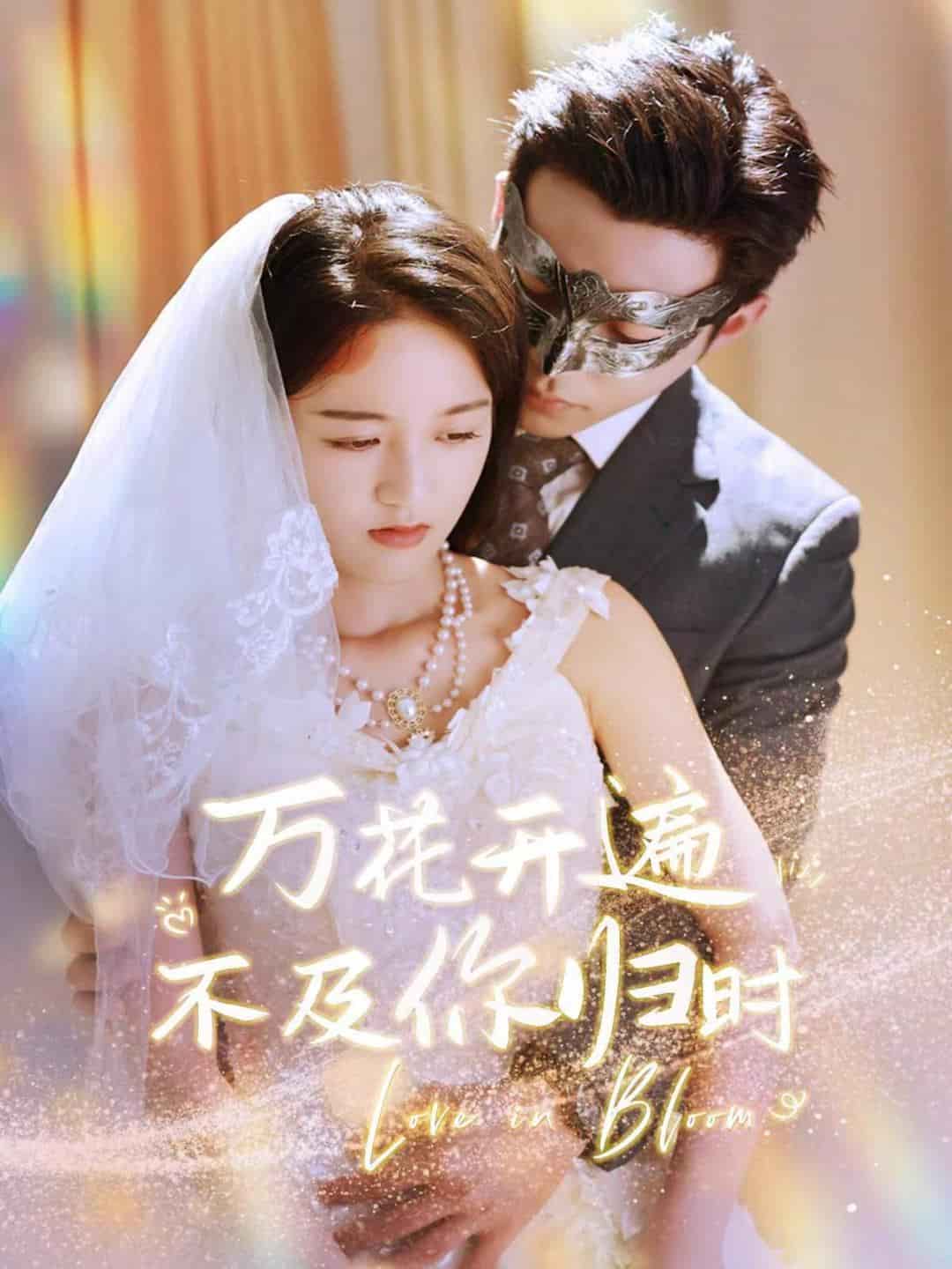 万花开遍不及你归时封面图