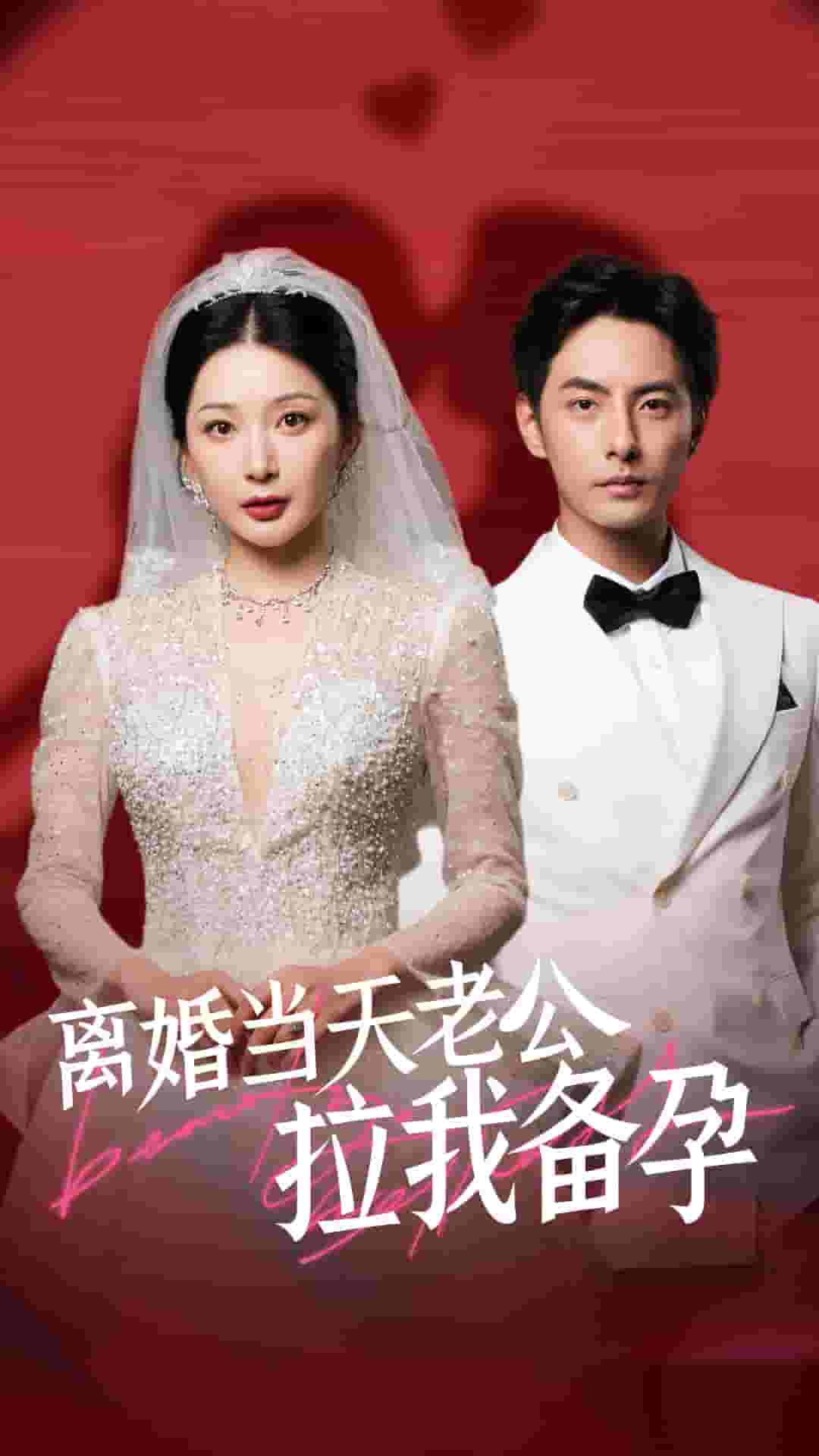 离婚当天老公拉我备孕封面图