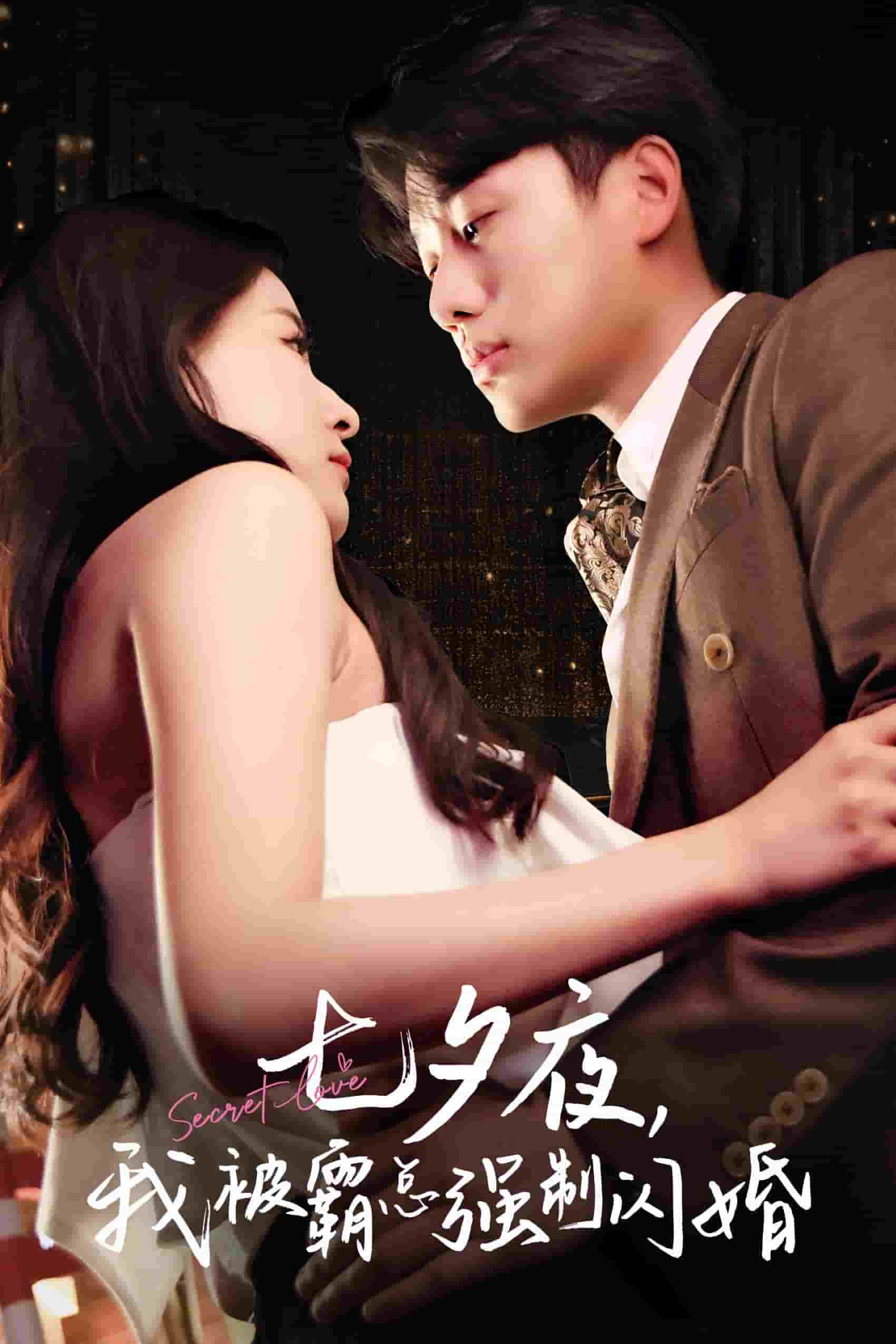 七夕夜我被霸总强制闪婚封面图