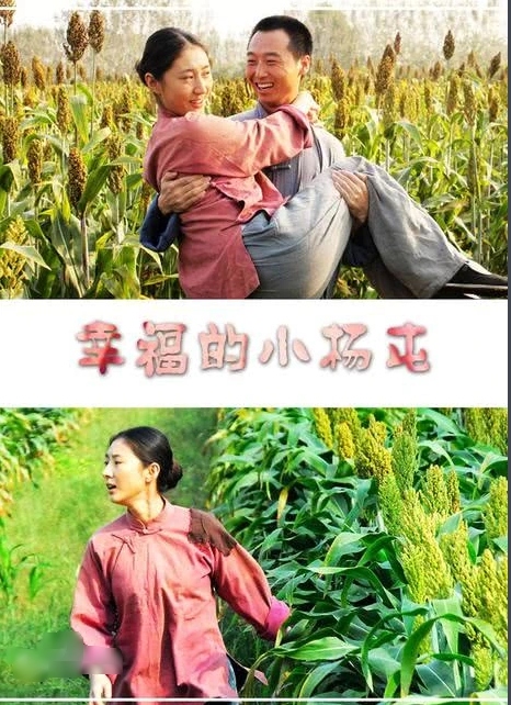幸福的小杨屯封面图