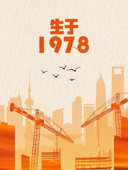 生于1978封面图