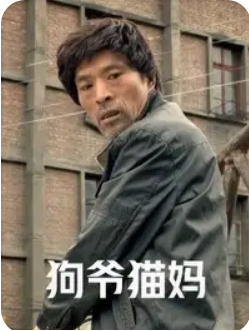 狗爷猫妈封面图