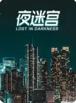 夜迷宫封面图