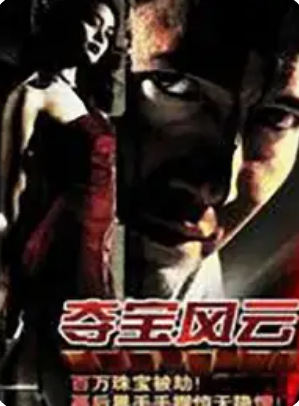 夺宝风云封面图