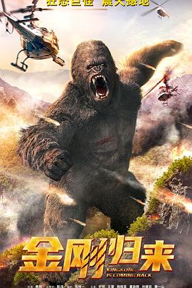 金刚归来2024封面图