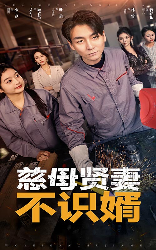 慈母贤妻不识婿封面图