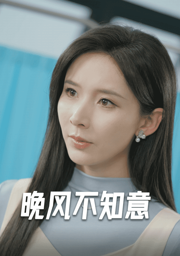 晚风不知意封面图