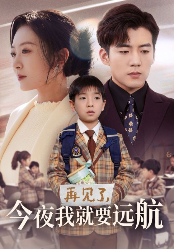 再见了今夜我就要远航封面图