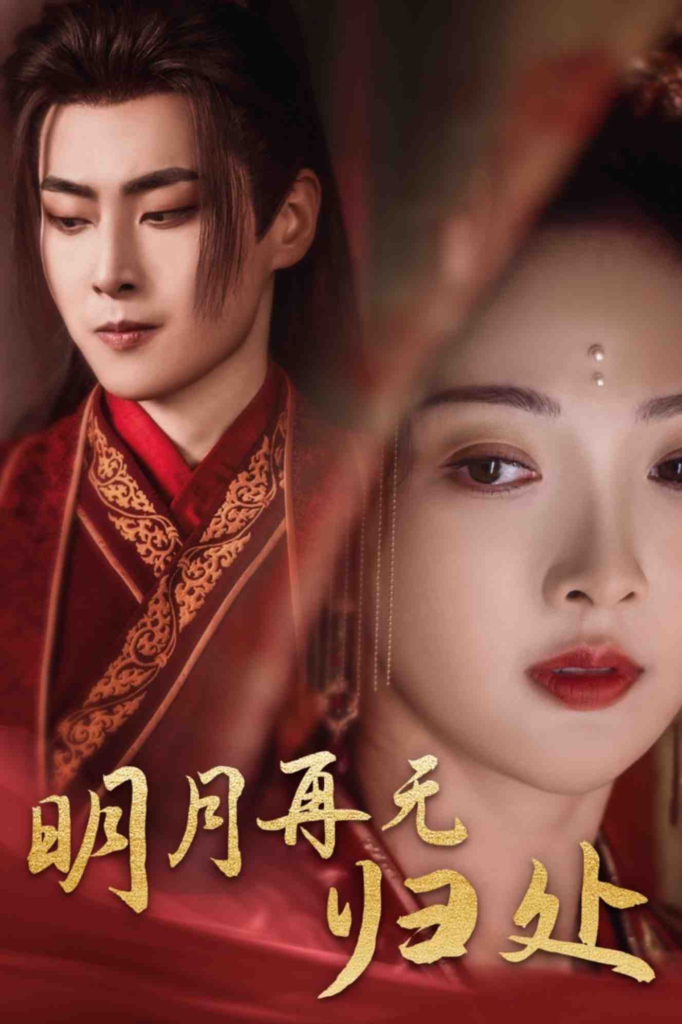 明月再无归处封面图