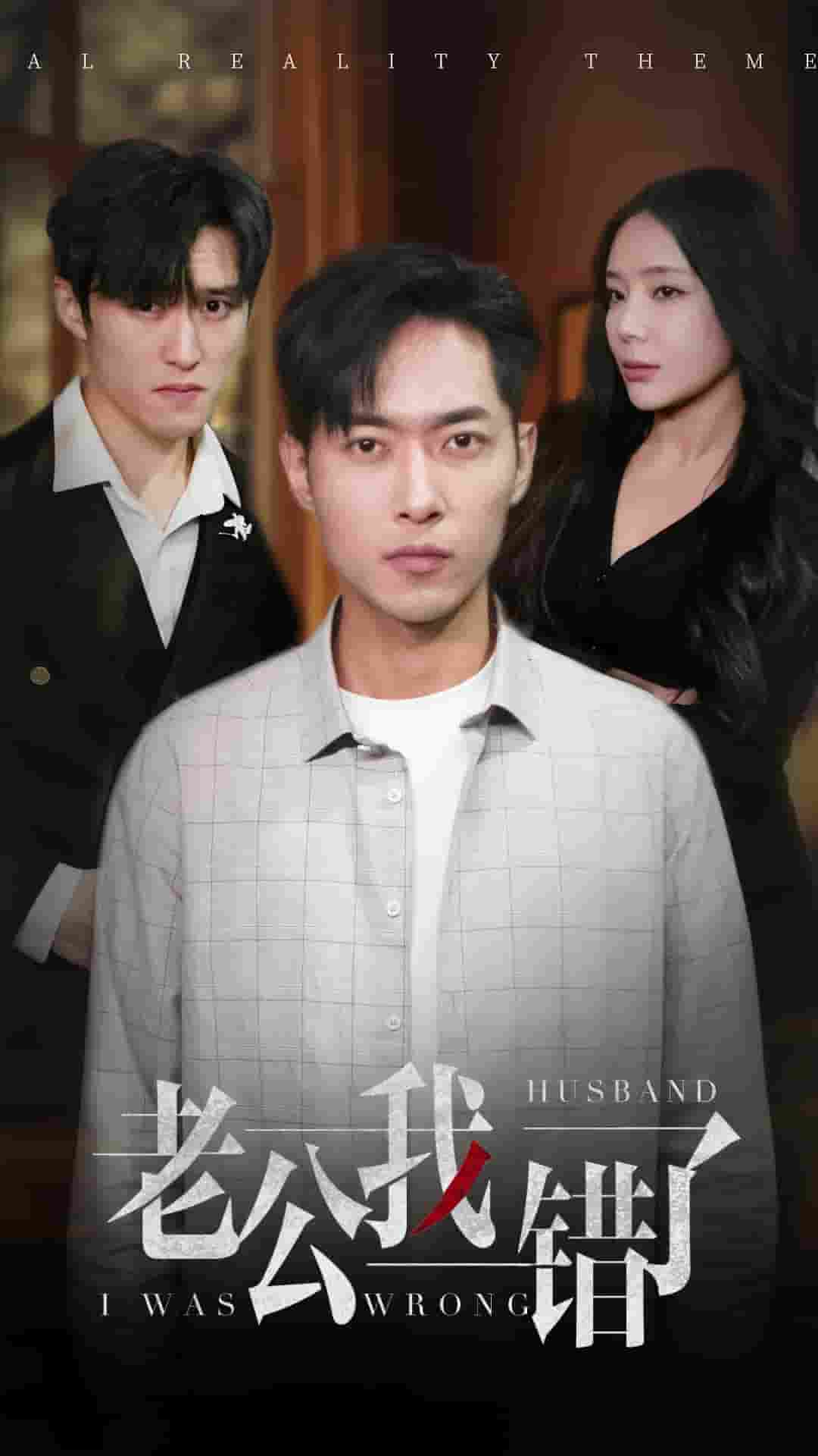 老公我错了封面图