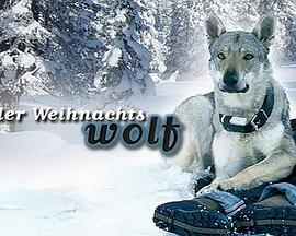 我会回来过圣诞封面图