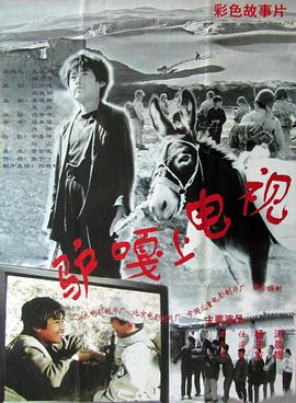 驴嘎上电视封面图