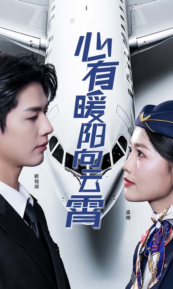 心有暖阳向云霄封面图