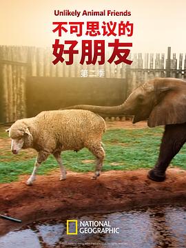 不可思议的好朋友第二季封面图