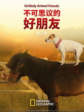 不可思议的好朋友第三季封面图