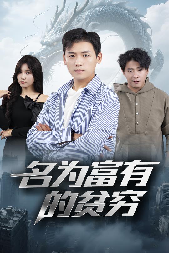 名为富有的贫穷封面图