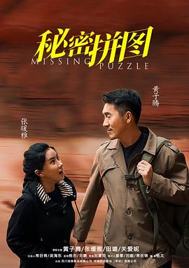 秘密拼图封面图