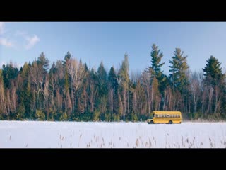 猫狗大乱斗封面图