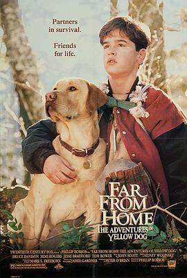 小黄历险记 Far from Home: The Adventures of Yellow Dog封面图