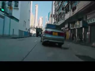 树大招风封面图