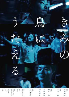 你的鸟儿会唱歌 きみの鳥はうたえる封面图