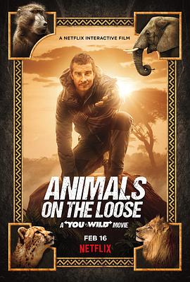 你的荒野求生电影版：出逃的野兽 Animals on the Loose: A You vs. Wild Movie封面图