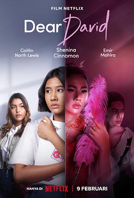 亲爱的大卫 Dear David封面图