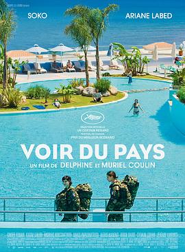 大开眼界 Voir du pays封面图