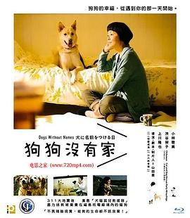 为你取名的那一天 犬に名前をつける日封面图