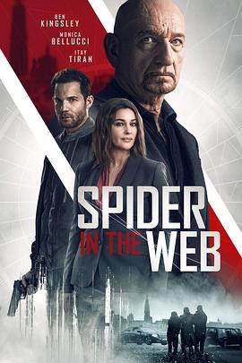 网中蜘蛛 Spider In The Web封面图