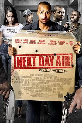 次日危机 Next Day Air封面图