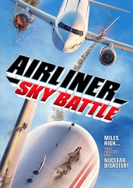 客机空战 Airliner Sky Battle封面图