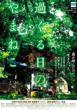 往日的山猫 過ぐる日のやまねこ封面图