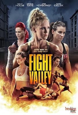 搏击谷 Fight Valley封面图