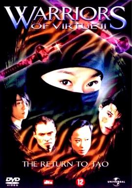 幻影战士 Warriors of Virtue: The Return to Tao封面图