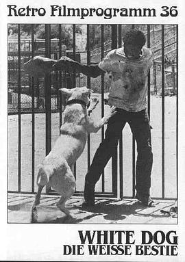 白狗 White Dog封面图