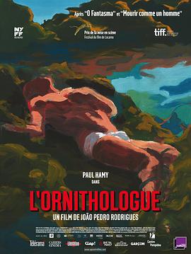 鸟类学家 O Ornitólogo封面图