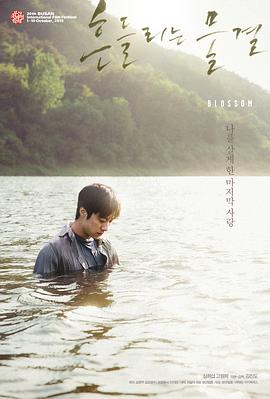 绽放 흔들리는 물결封面图