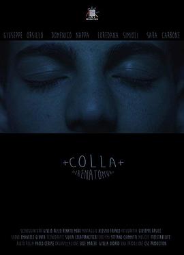 胶水 Colla封面图